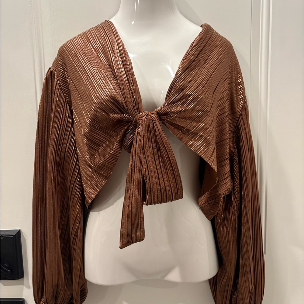 Elegant Brown Tie-Front Blouse